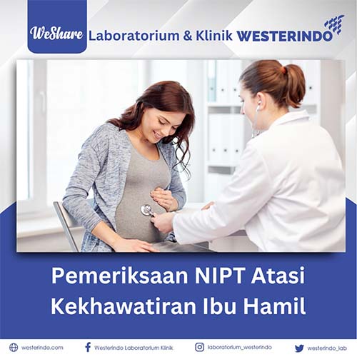 NIPT Solusi Kekhawatiran Ibu Hamil