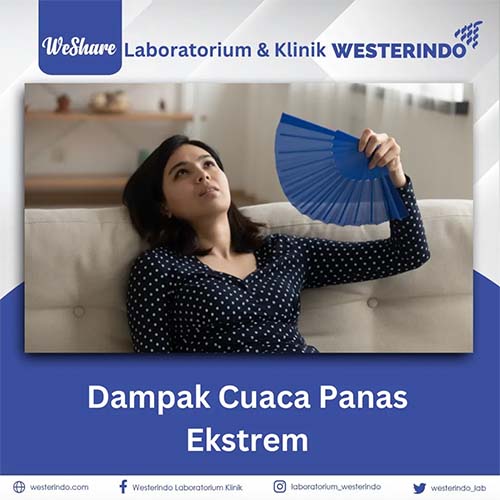 Dampak Cuaca Panas Ekstrem