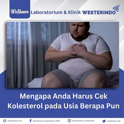 Mengapa Cek Kolesterol Penting