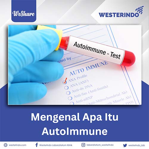 Mengenal apa itu Autoimmune