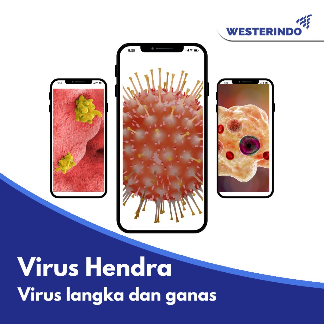 Virus Hendra, Virus Langka dan Ganas